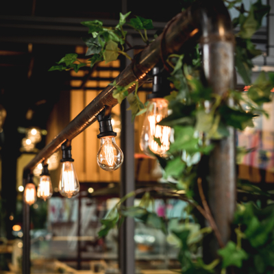 Street decoration with light bulbs and plants